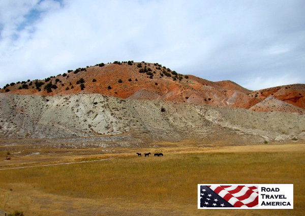 Horses grazing in Wyoming