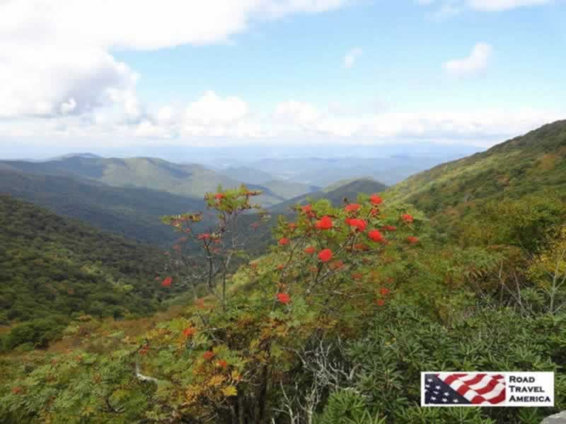 Blue Ridge Parkway vista in the fall