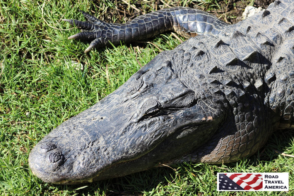Scene along Ocean Drive in Kennebunkport, Maine