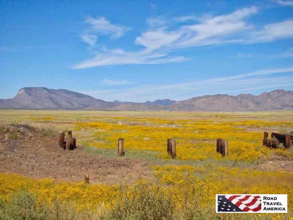 On the road heading to Big Bend National Park in Texas!