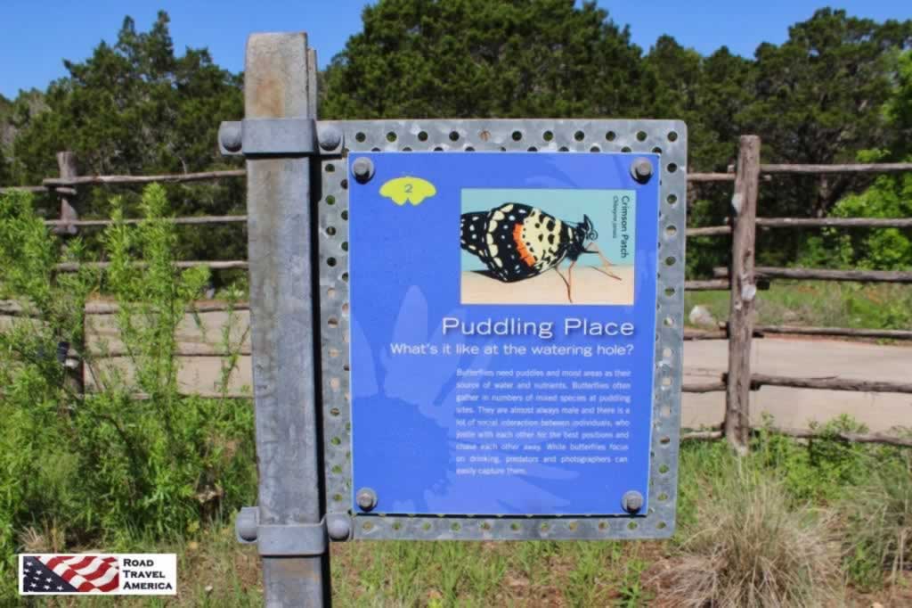 A puddling place, part of the Butterfly Garden