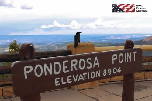 Ponderosa Point at Bryce Canyon National Park ... Elevation 8,904 feet