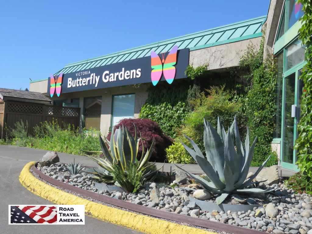 Victoria Butterfly Gardens, just a few minutes drive from The Butchart Gardens