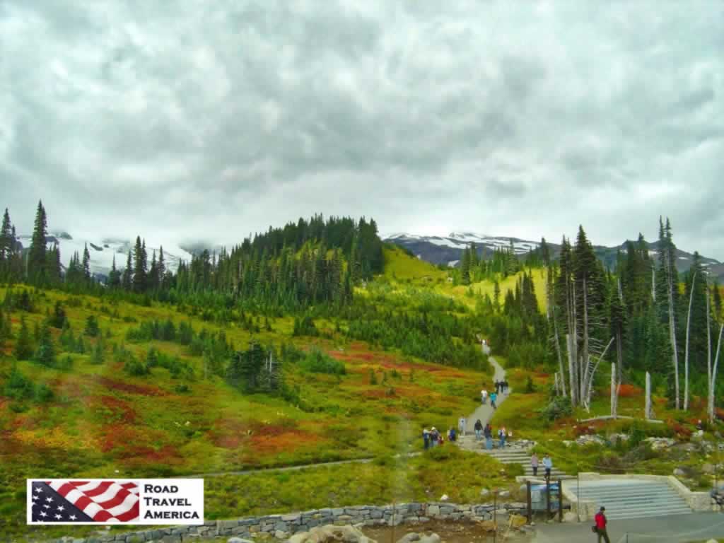 Hikers and families enjoying Mount Rainier National Park