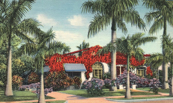 Home with lush tropical landscape in St. Petersburg, Florida