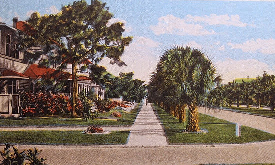 Homes on Fifth Avenue North in St. Petersburg, Florida