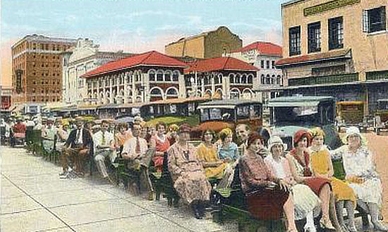 Enjoying the sunshine in St. Petersburg, Florida