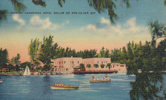 Hotel Rellim in St. Petersburg, Florida
